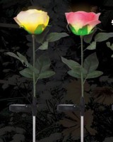 Solarleuchte "Rosen" 2er Set